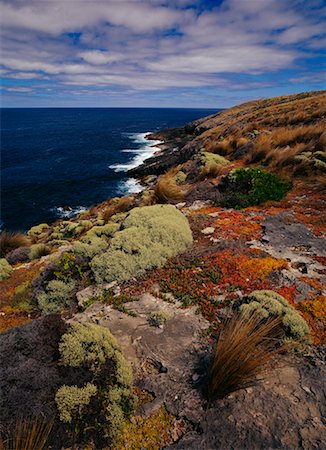 Kangaroo Island, Australia Foto de stock - Direito Controlado, Número: 700-00181676
