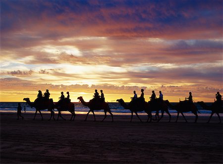 Promenade en chameau sur la plage de Cable Beach Australie Photographie de stock - Rights-Managed, Code: 700-00181683
