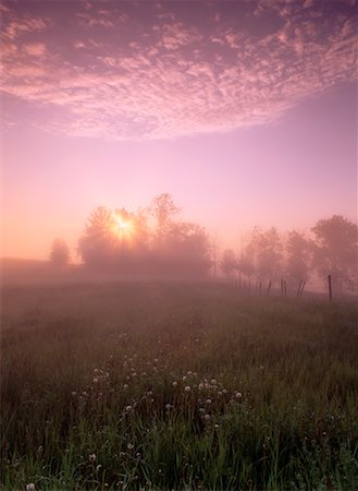 simsearch:700-00151157,k - Sunrise over Meadow Alberta, Canada Stock Photo - Rights-Managed, Code: 700-00181718