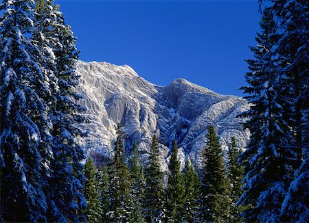 simsearch:700-00425320,k - Montagne à travers les arbres en hiver le Parc National Banff, Alberta, Canada Photographie de stock - Rights-Managed, Code: 700-00181726