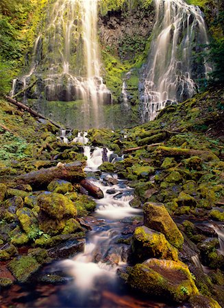 simsearch:700-00033760,k - Proxy Falls Oregon, USA Fotografie stock - Rights-Managed, Codice: 700-00181843