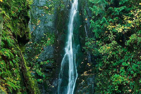 simsearch:700-00015959,k - Goldstream Provincial Park British Columbia, Canada Foto de stock - Con derechos protegidos, Código: 700-00182460