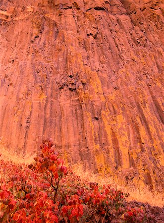 Basalt Cliff, Palouse Falls Washington, USA Foto de stock - Con derechos protegidos, Código: 700-00182719