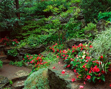 simsearch:700-02349003,k - Royal Botanical Gardens Hamilton, Ontario, Canada Stock Photo - Rights-Managed, Code: 700-00183241