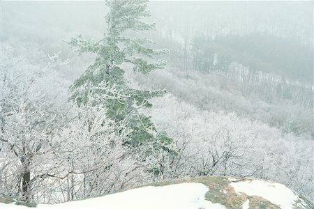 Winter Scenic Fotografie stock - Rights-Managed, Codice: 700-00194403