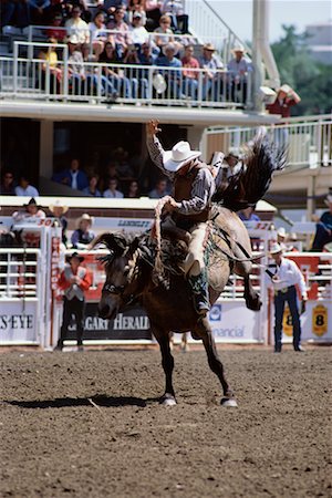 Bronco Riding Stampede de Calgary Calgary, Alberta, Canada Photographie de stock - Rights-Managed, Code: 700-00195469