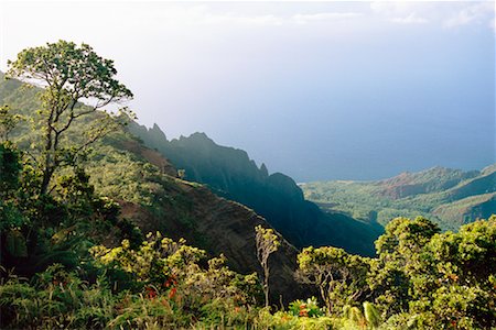Lookout Kalalau Kauai, Hawaii, Etats-Unis Photographie de stock - Rights-Managed, Code: 700-00196032
