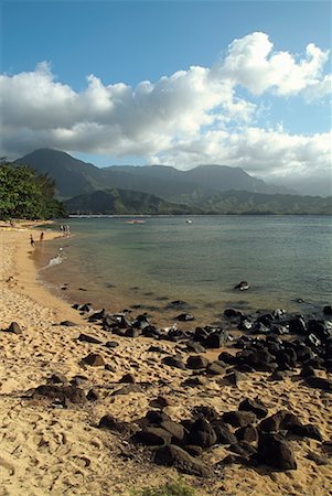 Vue d'ensemble de plage Princeville, Kauai, Hawaii, USA Photographie de stock - Rights-Managed, Code: 700-00196256
