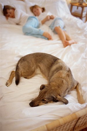 simsearch:700-01344862,k - Filles sur le lit avec chien Photographie de stock - Rights-Managed, Code: 700-00197067