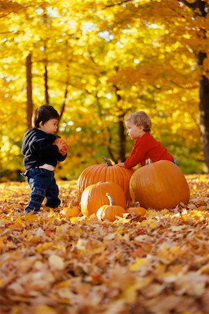 Children with Pumpkins Stock Photo - Rights-Managed, Code: 700-00198211