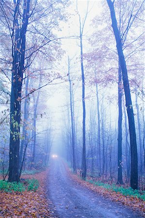 Car on Forest Road Lakefield, Ontario Canada Stock Photo - Rights-Managed, Code: 700-00198404