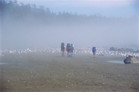 Pacific Rim National Park Fauna Stock Photos Page 1 Masterfile