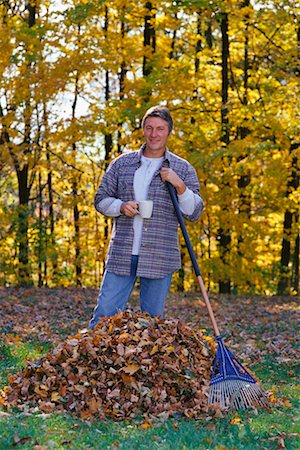 raking leaves - Man Raking Leaves Stock Photo - Rights-Managed, Code: 700-00198960