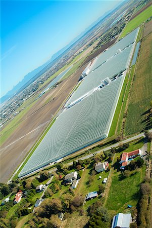 Overview of Large Greenhouse Delta, British Columbia Canada Stock Photo - Rights-Managed, Code: 700-00199444