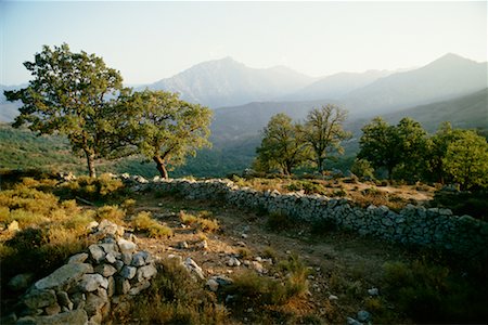 daniel barillot - Stone Wall and Landscape Balagne, Corsica France Stock Photo - Rights-Managed, Code: 700-00199617