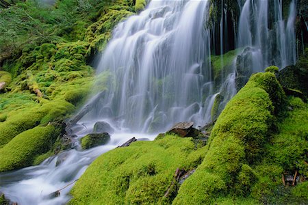 proxy falls oregon - Upper Proxy Falls Oregon, USA Stock Photo - Rights-Managed, Code: 700-00199865