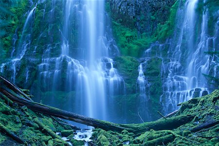 roy ooms - Lower Proxy Falls Oregon, USA Foto de stock - Con derechos protegidos, Código: 700-00199867