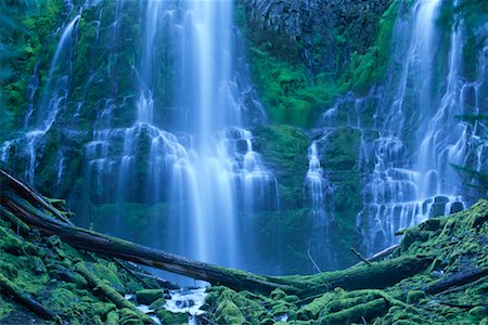 simsearch:700-00187451,k - Lower Proxy Falls Oregon, USA Foto de stock - Con derechos protegidos, Código: 700-00199867