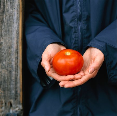 Person Holding Tomato Fotografie stock - Rights-Managed, Codice: 700-00190014