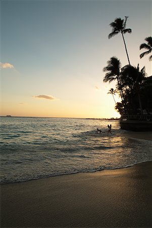 simsearch:700-00027532,k - Beach Scenic, Oahu, Hawaii, USA Foto de stock - Con derechos protegidos, Código: 700-00193348