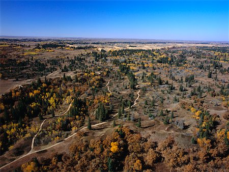 simsearch:700-00425563,k - Spruce Woods Provincial Park Manitoba, Canada Fotografie stock - Rights-Managed, Codice: 700-00267655