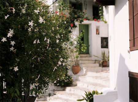 simsearch:700-04425017,k - Insel Skopelos, Griechenland Stockbilder - Lizenzpflichtiges, Bildnummer: 700-00268318