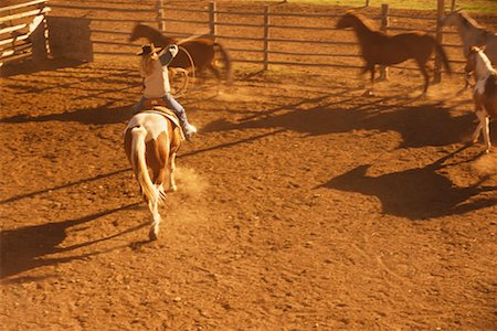 simsearch:614-06044165,k - Cowgirl throwing Lasso Foto de stock - Con derechos protegidos, Código: 700-00268394