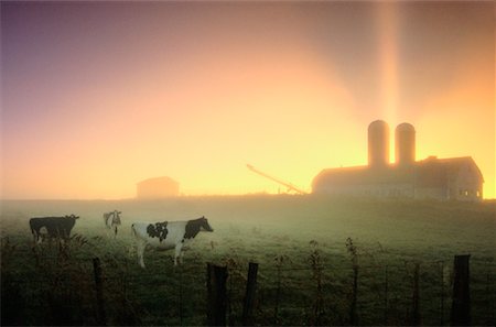 simsearch:700-01236427,k - Lever du soleil sur des terres agricoles près de Upton (Québec), Canada Photographie de stock - Rights-Managed, Code: 700-00269823