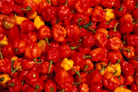 simsearch:700-00643990,k - Peppers Stock Photo - Rights-Managed, Code: 700-00274849