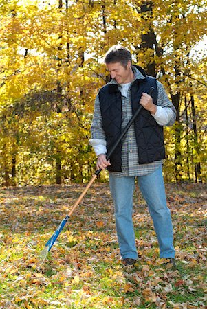 raking leaves - Man Raking Leaves Stock Photo - Rights-Managed, Code: 700-00270207