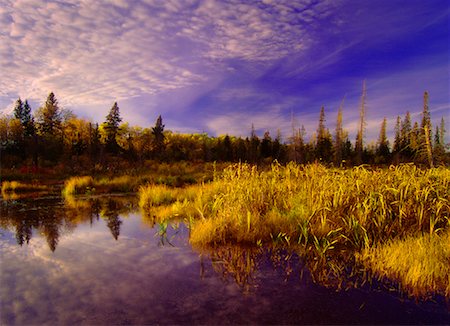 Autumn Scenic Riding Mountain National Park Manitoba, Canada Stock Photo - Rights-Managed, Code: 700-00270313