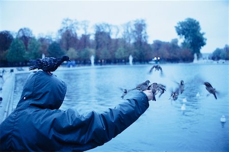 raincoat hood - Man Feeding Birds by River Stock Photo - Rights-Managed, Code: 700-00270718