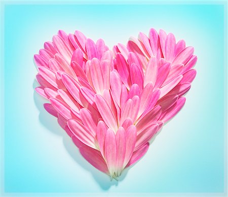 simsearch:600-00072464,k - Flower Petals in Heart Shape Foto de stock - Con derechos protegidos, Código: 700-00284876