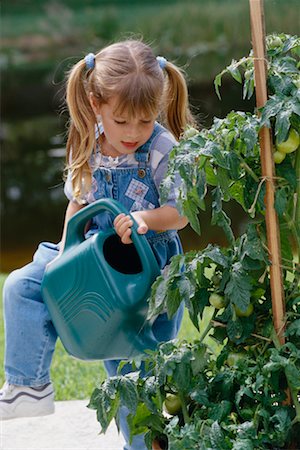 Girl Watering Tomato Plant Stock Photo - Rights-Managed, Code: 700-00285911