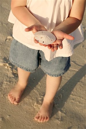 sand dollar beach - Child Holding Sand Dollar Stock Photo - Rights-Managed, Code: 700-00285944