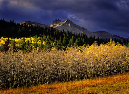 simsearch:700-00186805,k - Autumn Scenic Alberta, Canada Stock Photo - Rights-Managed, Code: 700-00285971