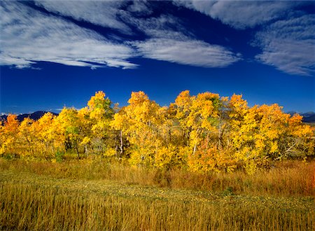 Autumn Scenic Alberta, Canada Stock Photo - Rights-Managed, Code: 700-00285986
