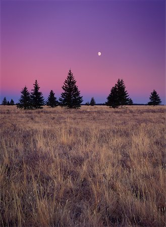 simsearch:700-00067281,k - Moonrise Cypress Hills Provincial Park Alberta, Canada Foto de stock - Direito Controlado, Número: 700-00286000