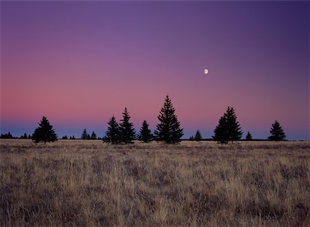 simsearch:700-00067281,k - Moonrise Cypress Hills Provincial Park Alberta, Canada Foto de stock - Direito Controlado, Número: 700-00286001