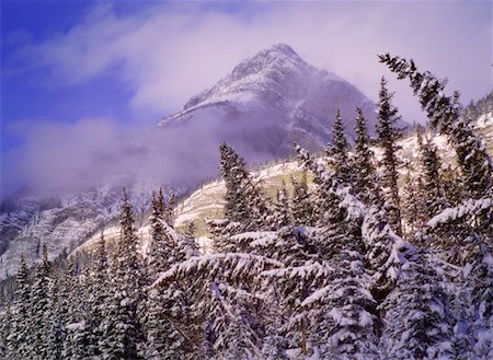 simsearch:700-00530152,k - Fresh Snowfall Banff National Park Alberta, Canada Fotografie stock - Rights-Managed, Codice: 700-00286010