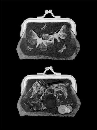 falena - X-Ray of Money and Moths in Wallets Fotografie stock - Rights-Managed, Codice: 700-00286428