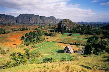 Tobacco Fields Vinales, Cuba Stock Photo - Rights-Managed, Code: 700-00280599