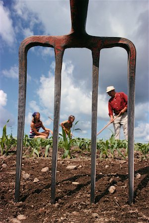 simsearch:700-03893380,k - Farmers Working in Field Stock Photo - Rights-Managed, Code: 700-00282105