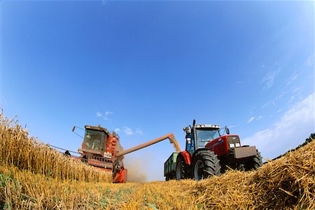 simsearch:700-00008391,k - Moissonneuse batteuse et tracteur dans le champ de blé Photographie de stock - Rights-Managed, Code: 700-00318305