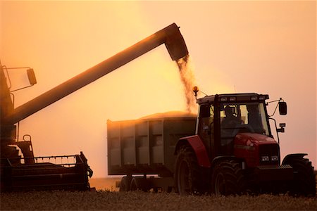 Farm Machinery Harvesting Stock Photo - Rights-Managed, Code: 700-00318302