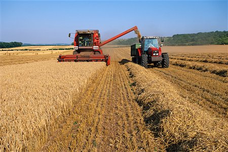 simsearch:700-01260509,k - Farm Machinery Harvesting Stock Photo - Rights-Managed, Code: 700-00318303