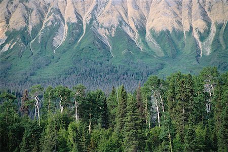 Vue du dessous de la gamme de montagne de Elias, Tatshenshini River, BC, Canada Photographie de stock - Rights-Managed, Code: 700-00318646