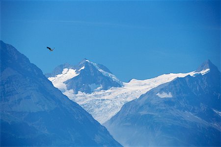 eagle canada - Saint Elias Mountains, Tatshenshini River, British Columbia, Canada Stock Photo - Rights-Managed, Code: 700-00318648