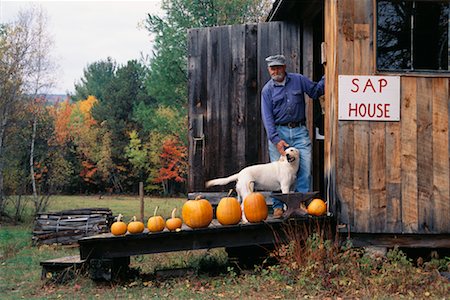 rural business owner - Maple Sugar Farmer at Sap House Stock Photo - Rights-Managed, Code: 700-00318691