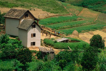 Farm House and Rice Field Madagascar Stock Photo - Rights-Managed, Code: 700-00328428